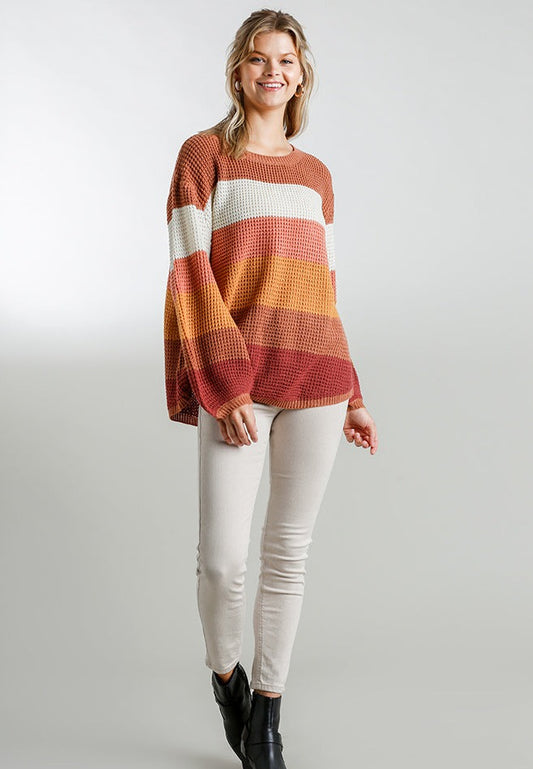 Multicolored Striped Knit Top + Curvy | Brown